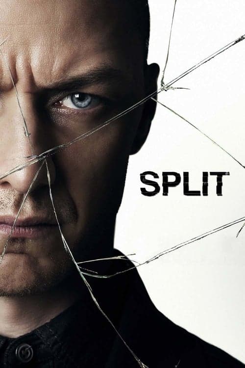 Split Poster}